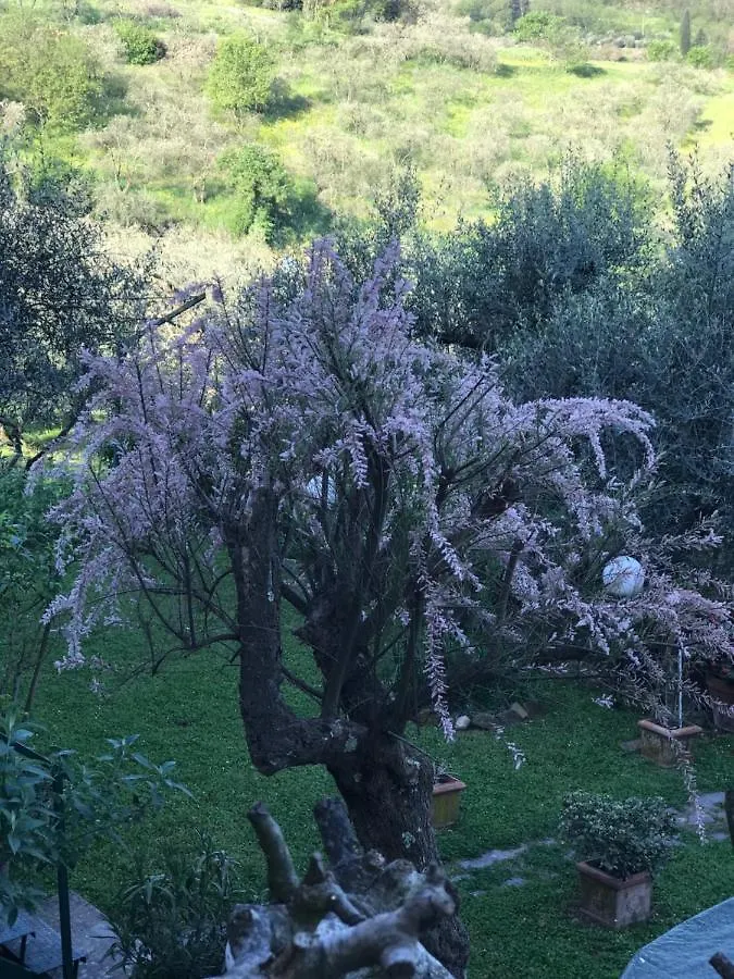 Villa Residenza dei Piaceri Perduti-Rosa Lastra a Signa 0*,  Italia